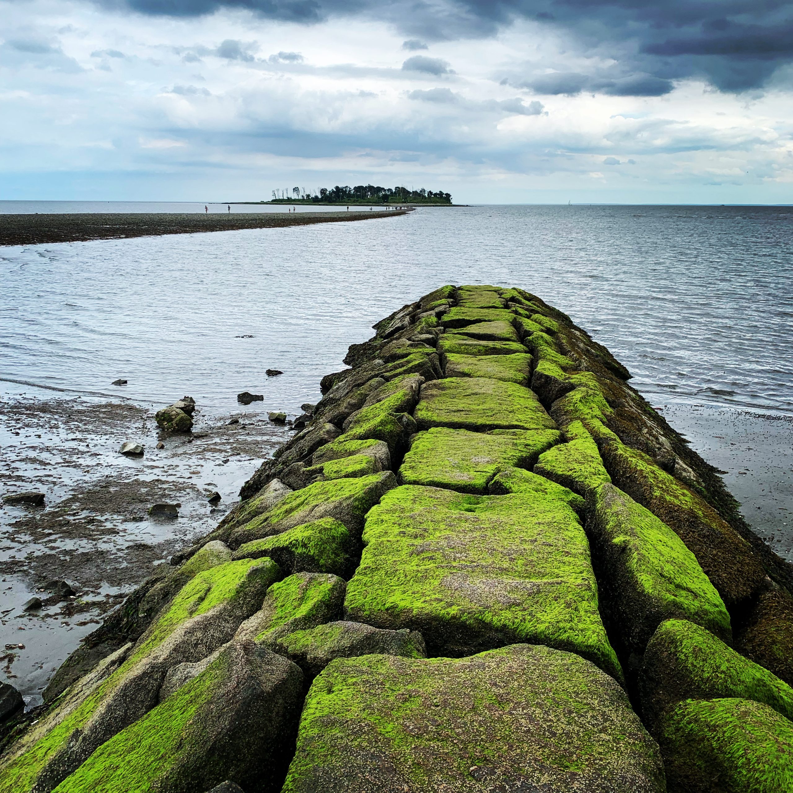 Moss covered dike with Charles Island in the distance, Milford, Connecticut, the United States Moss covered dike with Charles Island in the distance, Milford, Connecticut, the United States