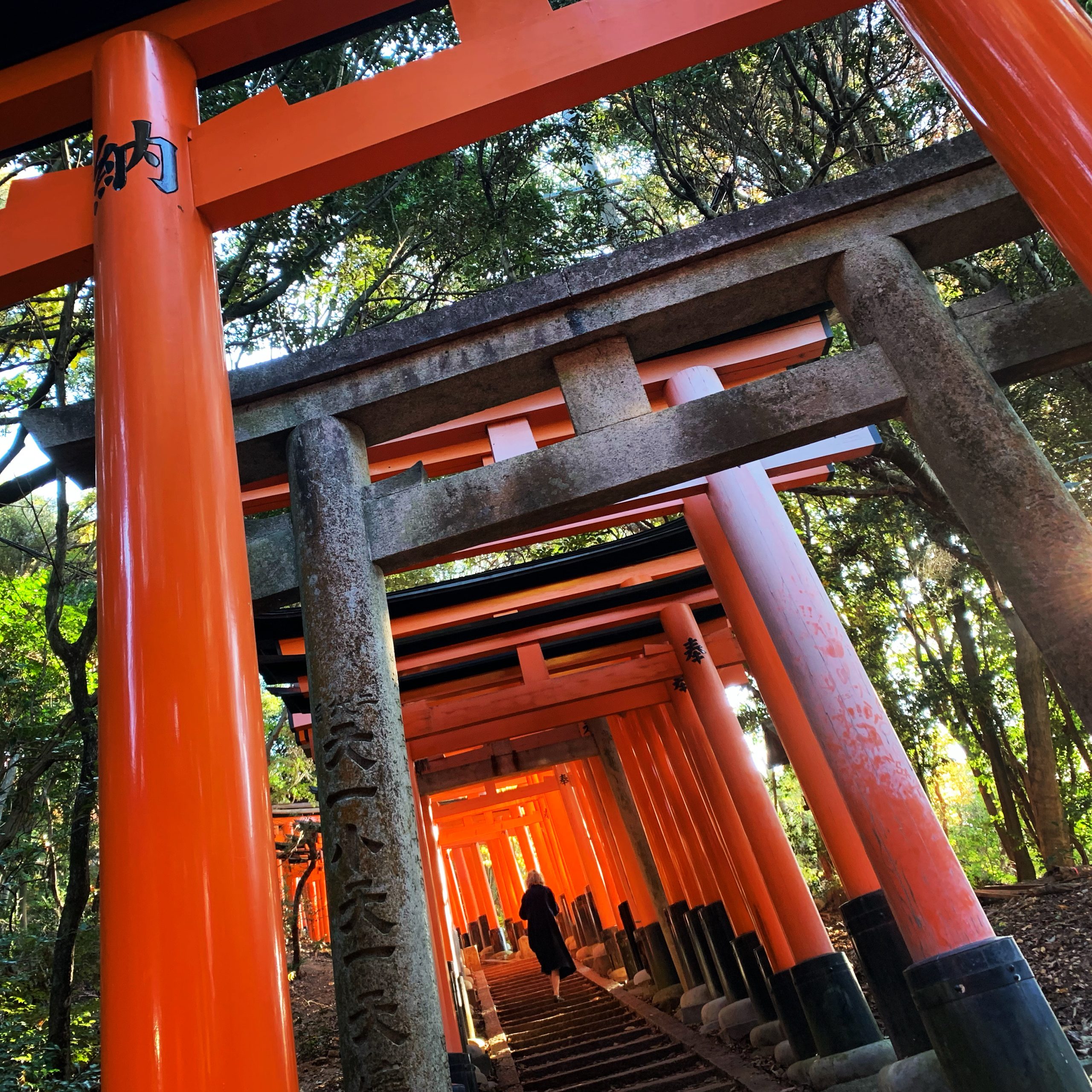 Fushimi Inari Shrine (Thousand Torii Gates), Kyoto, Japan Fushimi Inari Shrine (Thousand Torii Gates), Kyoto, Japan