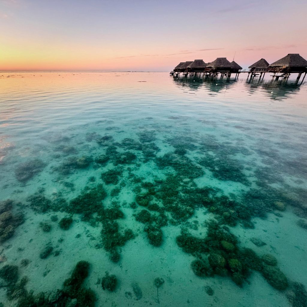 Gorgeous sunset view in Moorea, with overwater bungalows standing against the pink, orange sunset sky, and reflected in the clear turquoise lagoon