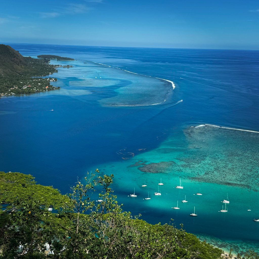 The aerial view of Opunohu Bay, Moorea, French Polynesia