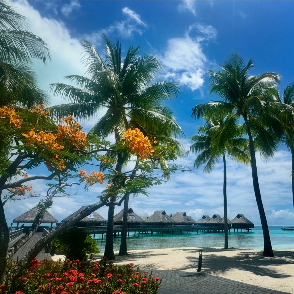 Tall coconut trees and orange flowers in front of overwater bungalows in Conrad Bora Bora Nui
