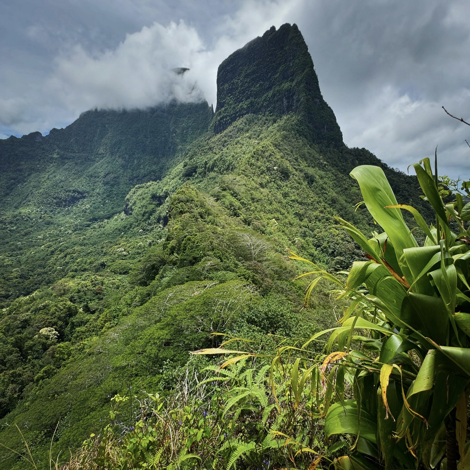 Jagged mountatin, Moorea, French Polynesia