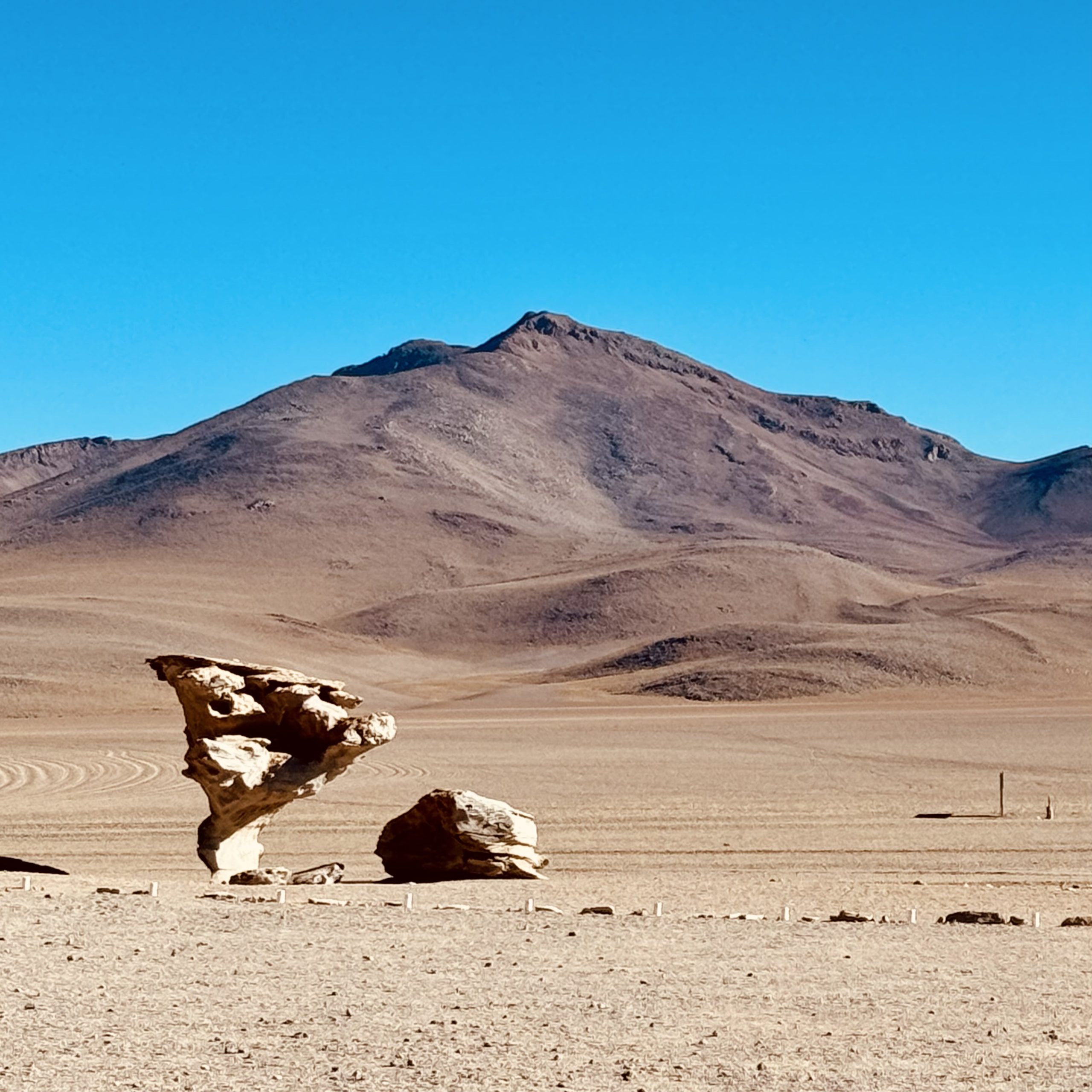 The famous stone tree in Salvador Dalí Desert, the Eduardo Avaroa Andean Fauna National Reserve in the Potosí Department, Bolivia The famous stone tree in Salvador Dalí Desert, the Eduardo Avaroa Andean Fauna National Reserve in the Potosí Department, Bolivia