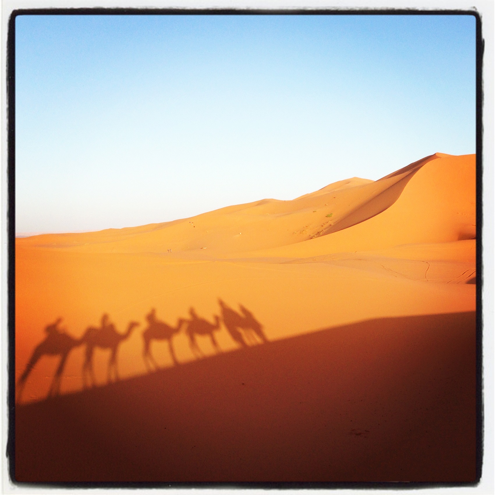 Camel safari in the Sahara Desert, Morocco Camel safari in the Sahara Desert, Morocco
