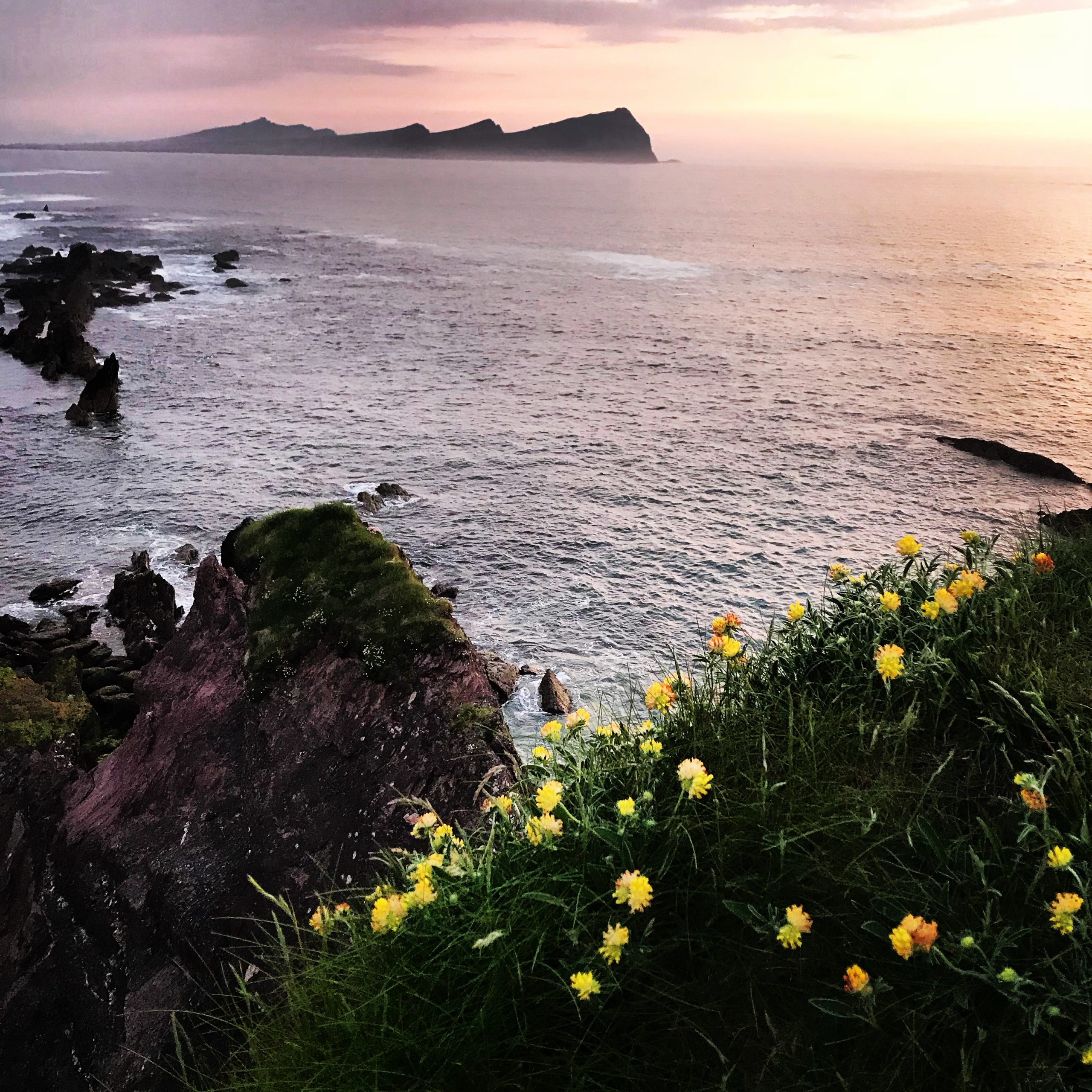 The Dingle Peninsula, located in County Kerry, Ireland, is a stunning coastal region renowned for its rugged cliffs, sandy beaches, lush green landscapes, and vibrant Gaelic culture, Ireland