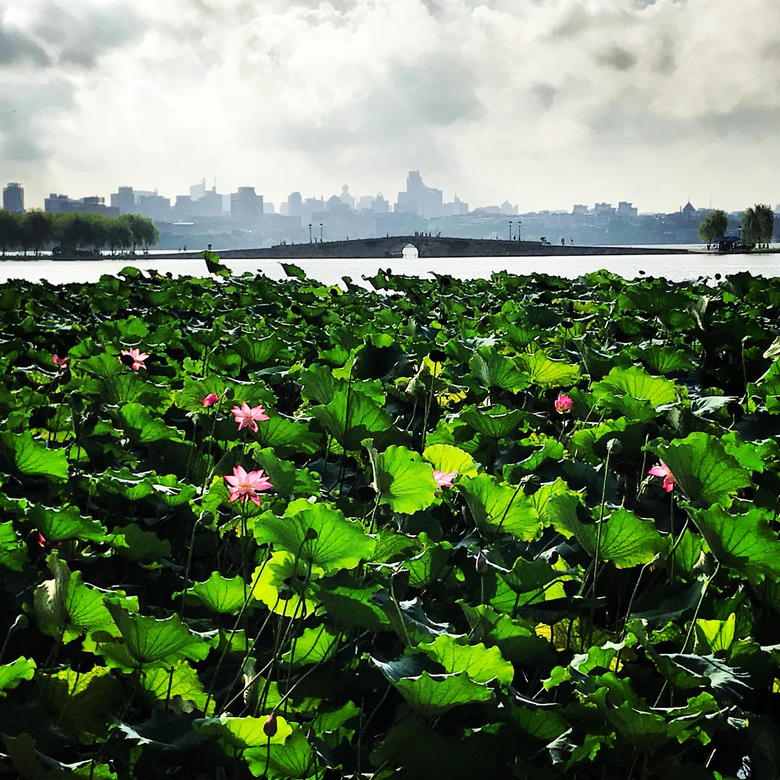 The West Lake, Hangzhou, China