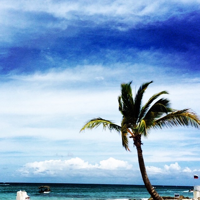 Punta Cana, the Dominican of Republic