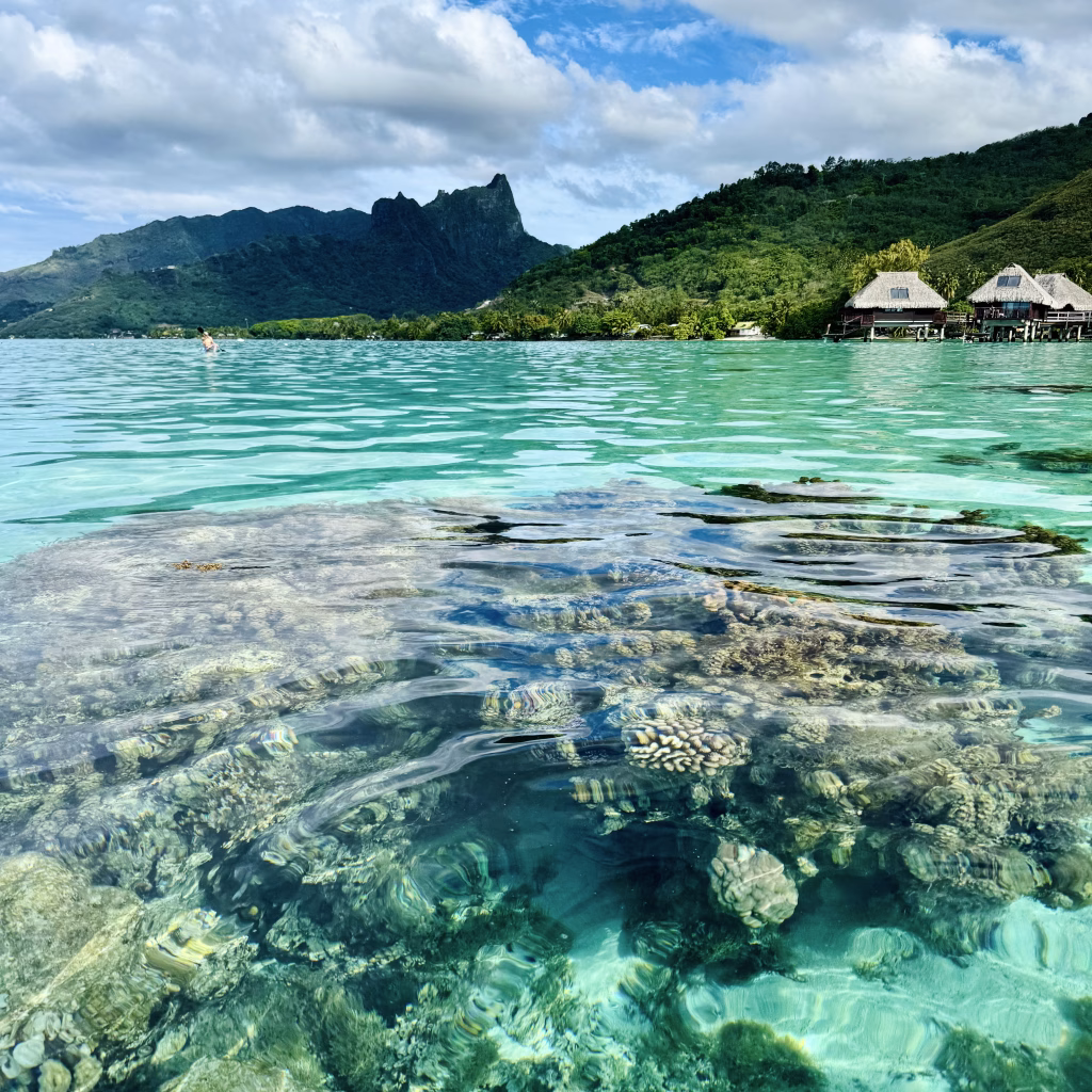 Clear water lagoon around Hilton Moorea resort
