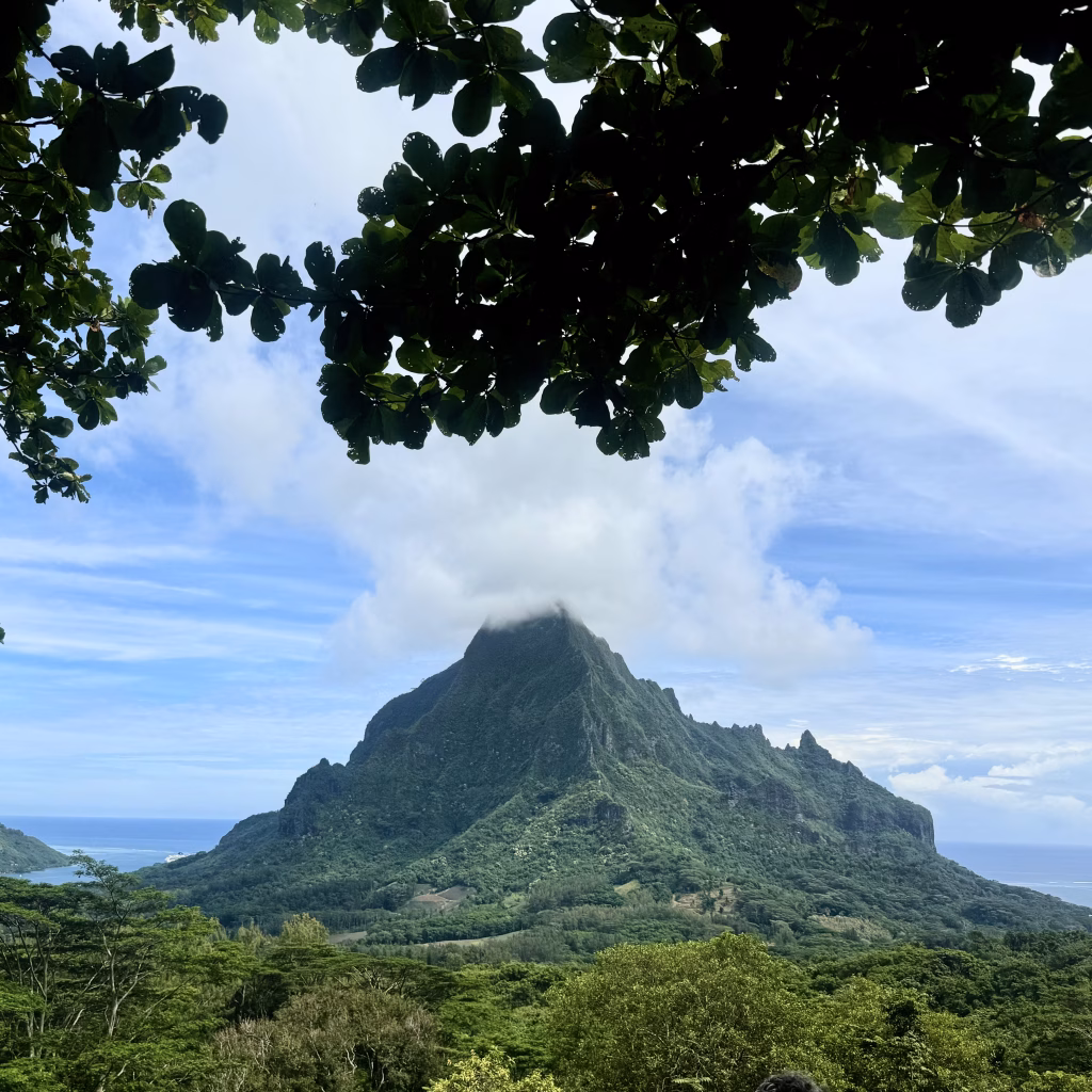 Belvedere Lookout with breathtaking panoramic views of the island’s lush landscapes, and the picturesque Opunohu and Cook’s Bays