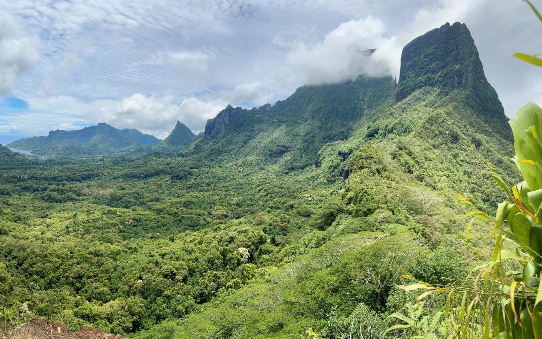 Ultimate Travel Guide to Moorea