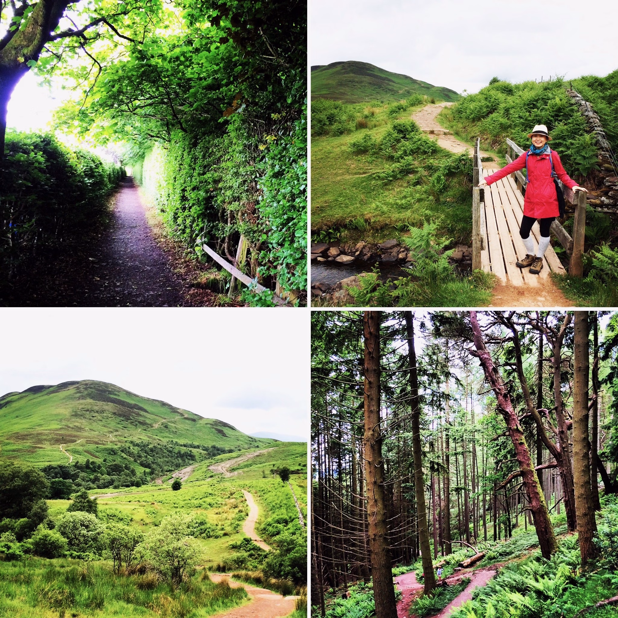 The sceneries of Day 2 of the West Highland way hike in Scotland