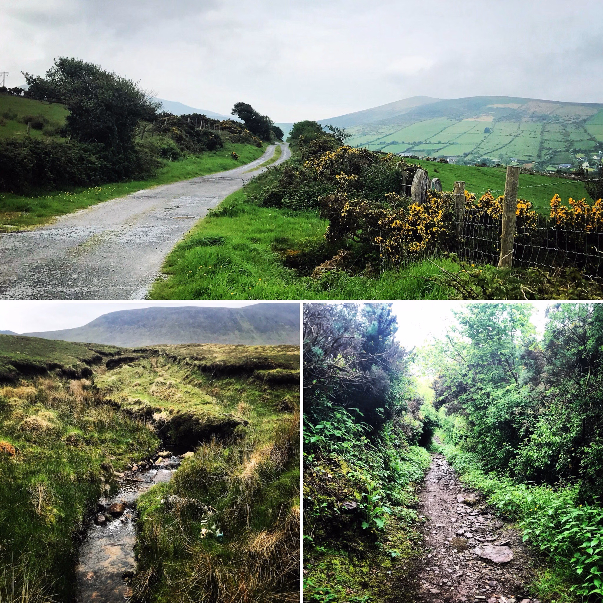The "Dingle Way" trail near Knockglass More, Kerry County, Ireland