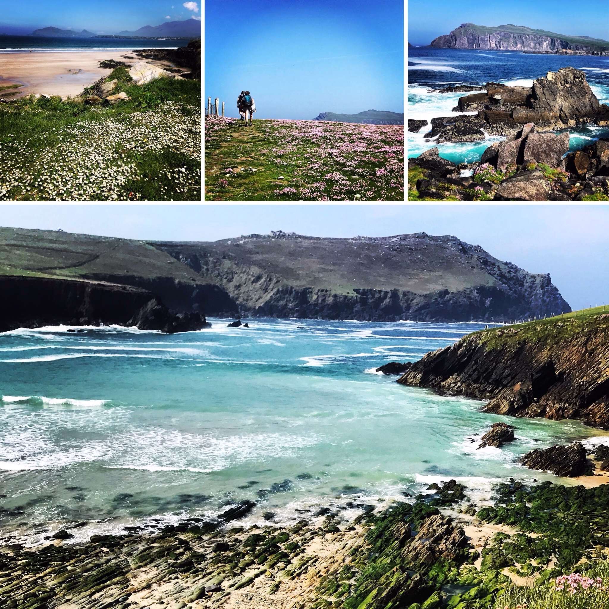 Gorgeous coastal scenery