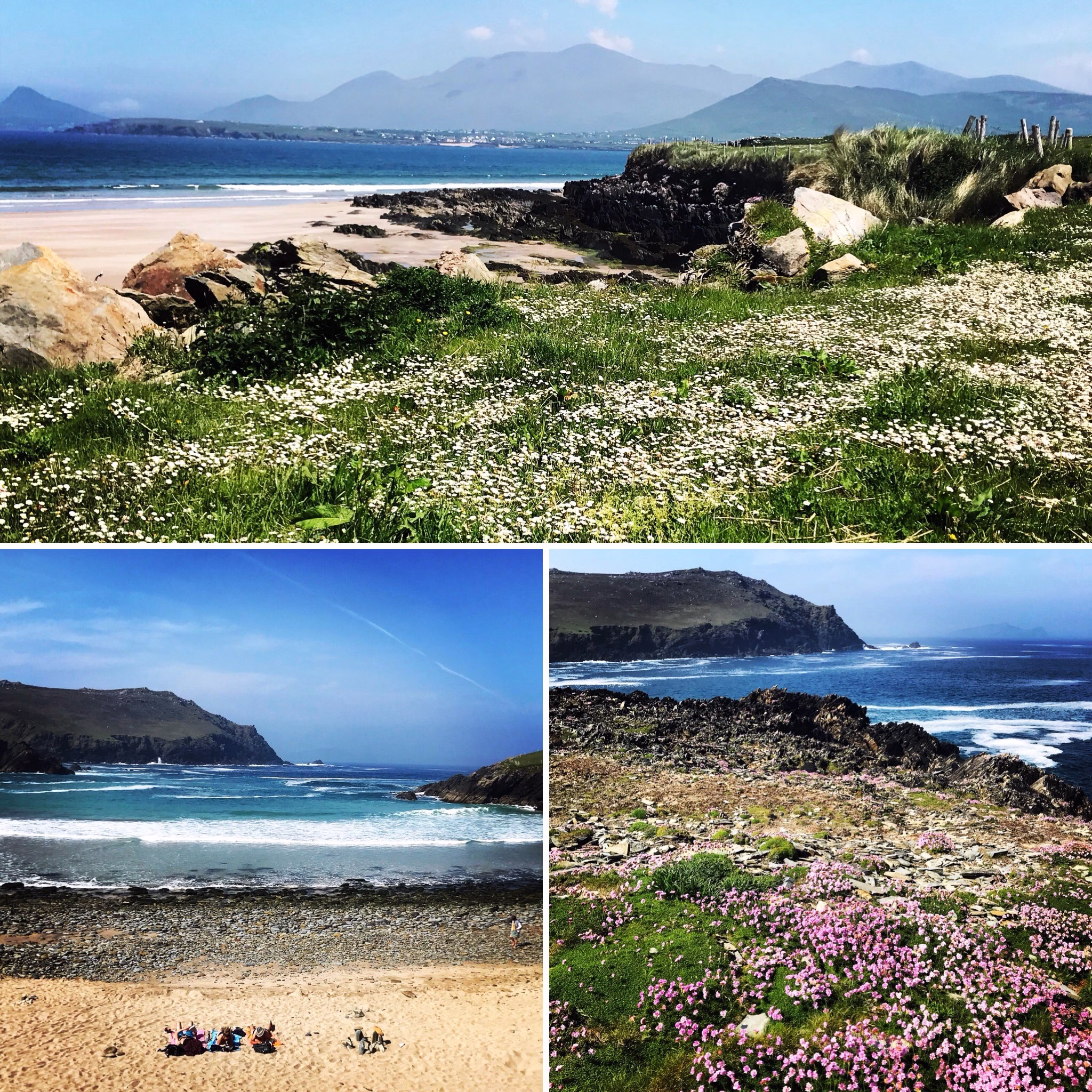 Gorgeous coastal view near the Clogher Beach on the Dingle Peninsula 