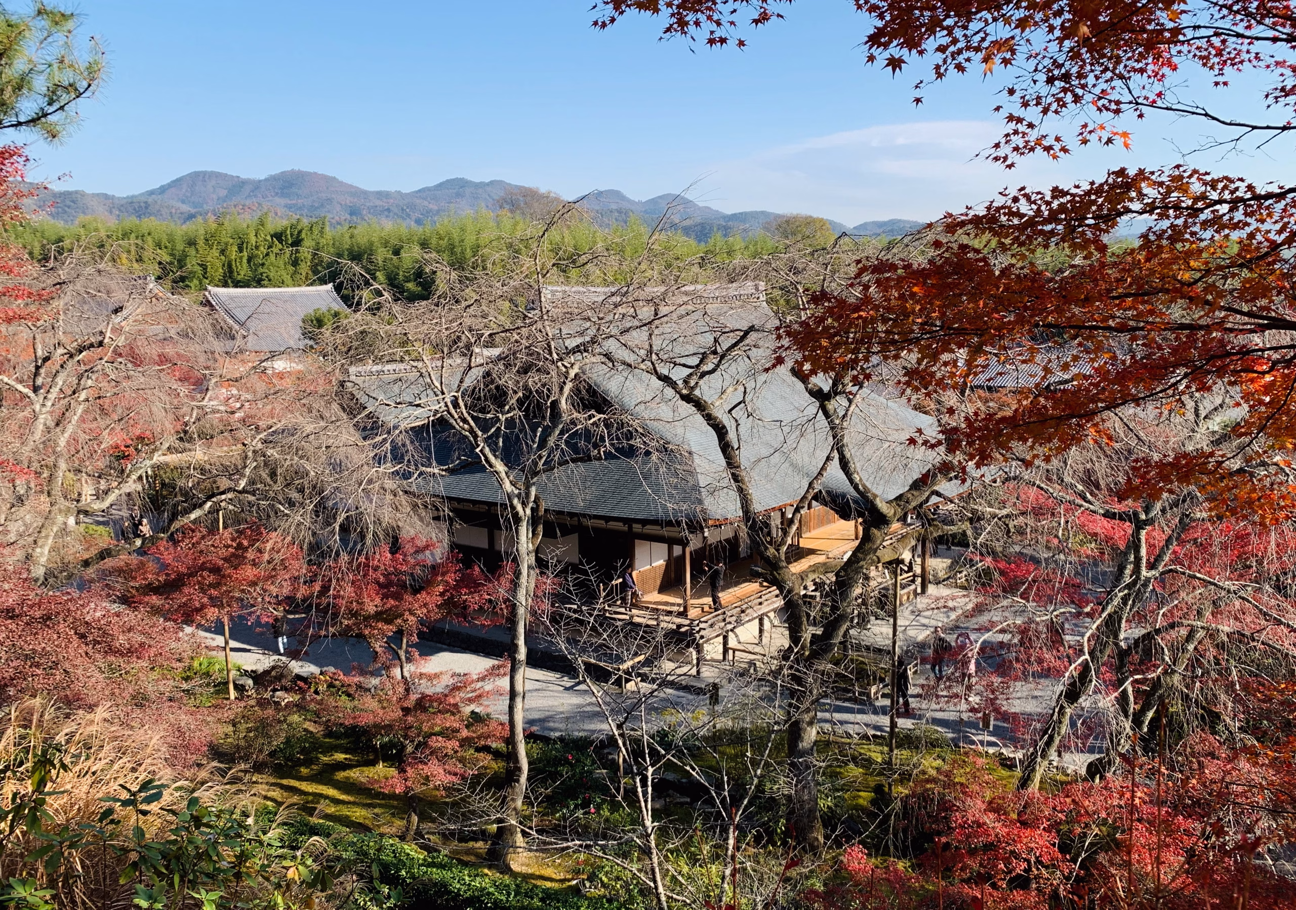 Tenryu-ji (天龍寺), a UNESCO World Heritage Site, is in the full display of the fall foliage, Kyoto, Japan