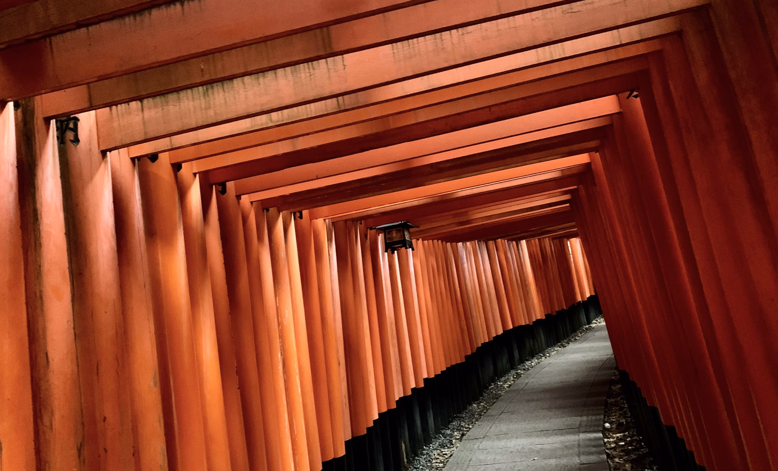 A pathway lined with a series of bright orange torii gates at Fushimi Inari Taisha in Kyoto, Japan. The gates create a tunnel effect, and the path stretches into the distance, inviting exploration. Shadows and light interplay along the way, highlighting the vibrant color of the gates.