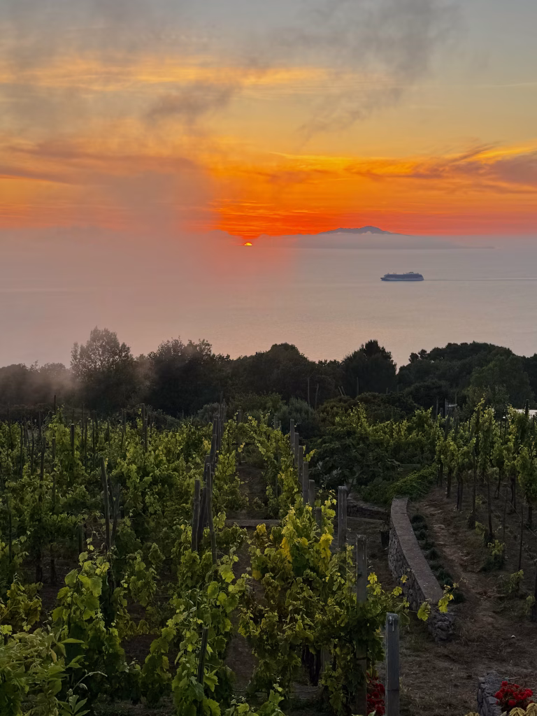 Sunset over Da Gelsomina vineyard in Anacapri, with an orange and red sky, sea horizon, and a ship in the distance.