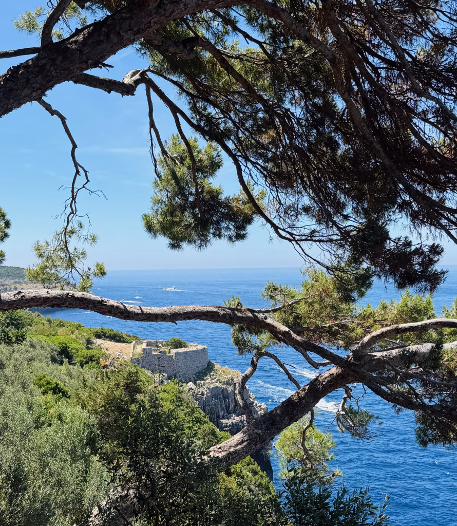A scenic overlook of Fort Orrico in Capri, Italy, partially framed by the gnarled branches and green foliage of a tree in the foreground. The historic stone structure sits on a rugged cliff edge, surrounded by dense greenery, with the sparkling blue sea stretching out into the horizon beyond. A few small boats drift in the distance beneath a sunlit sky.